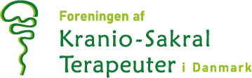 KST logo